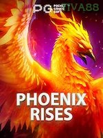 Phoenix Rises